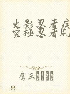 火影忍者疾风传究极忍者风暴4