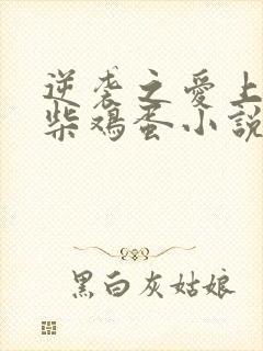 逆袭之爱上情敌柴鸡蛋小说免费完整在线阅读