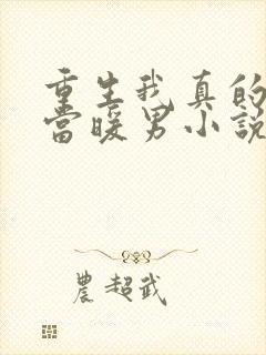 重生我真的没想当暖男小说