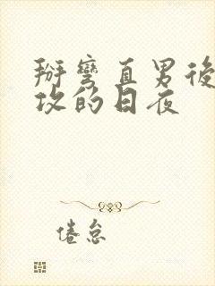 掰弯直男后被反攻的日夜