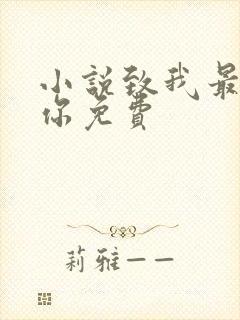 小说致我最爱的你免费