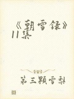 《朝雪录》 第11集