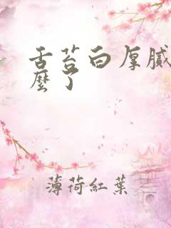 舌苔白厚腻是怎么了