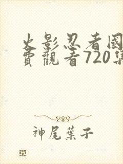 火影忍者国语免费观看720集