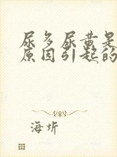 尿多尿黄是什么原因引起的