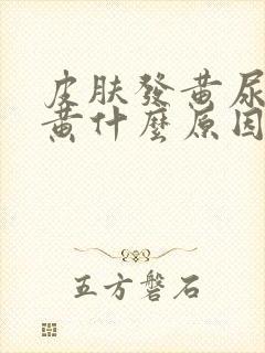 皮肤发黄尿液发黄什么原因