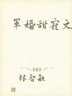 军婚甜宠文推荐