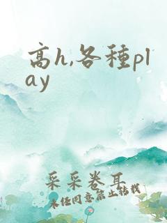高h,各种play