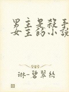 男主是杀手爱上女主的小说