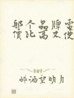 那个品牌电车性价比高又便宜