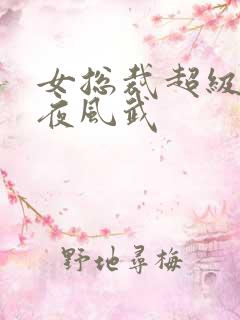 女总裁超级兵王夜风武