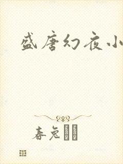 盛唐幻夜小说
