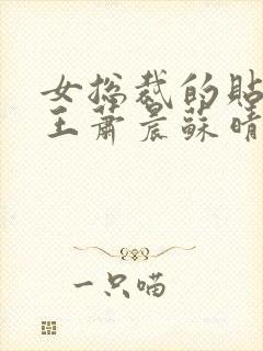 女总裁的贴身兵王萧晨苏晴