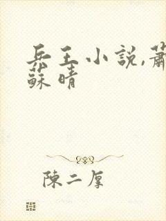 兵王小说,萧晨苏晴