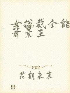 女总裁全能兵王萧晨主