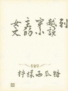 女主穿越到赘婿文的小说