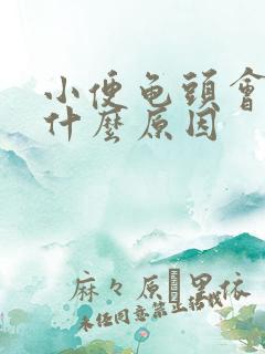 小便龟头会刺痛什么原因