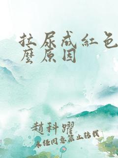 拉尿成红色是什么原因