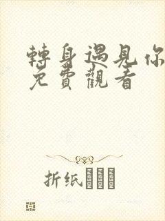 转身遇见你短剧免费观看