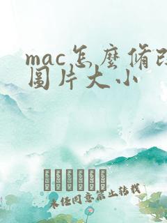 mac怎么修改图片大小