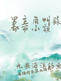 男主角叫苏凡的都市小说