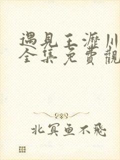 遇见王沥川高清全集免费观看