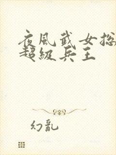 夜风武女总裁的超级兵王