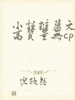 小说推荐文笔好高质量无cp