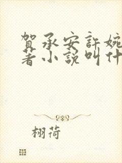 贺承安许婉淑原著小说叫什么