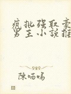 疯批强取豪夺双男主小说推荐