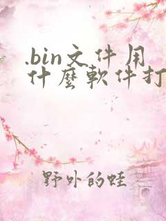 .bin文件用什么软件打开