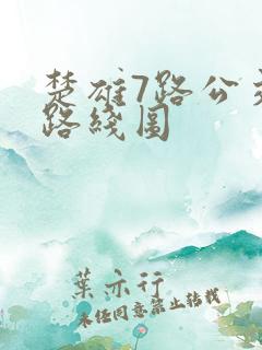 楚雄7路公交车路线图