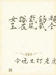 女总裁的超级兵王夜风武全文