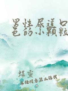 男性尿道口长白色的小颗粒