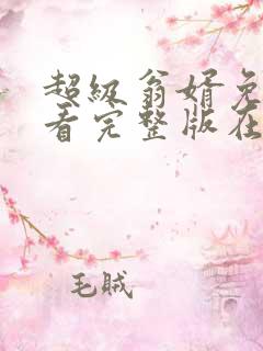 超级翁婿免费观看完整版在线全集