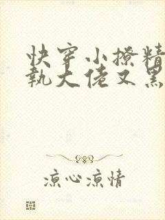 快穿小撩精:偏执大佬又黑化了小说