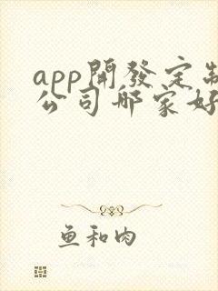 app开发定制公司哪家好