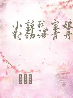 小说我家娘子不对劲洛青舟完结版