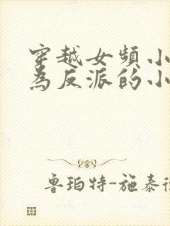 穿越女频小说成为反派的小说书