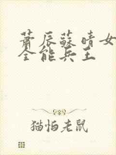萧辰苏晴女总裁全能兵王