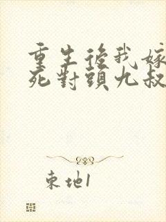 重生后我嫁给了死对头九叔