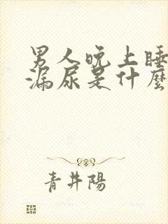 男人晚上睡着了漏尿是什么原因