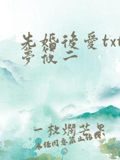 先婚后爱txt梦筱二