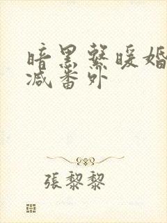 暗黑系暖婚无删减番外