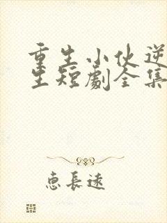 重生小伙逆袭人生短剧全集