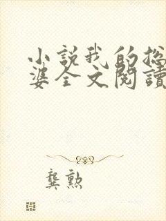 小说我的总裁老婆全文阅读