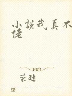 小说我真不是大佬