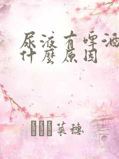 尿液有啤酒沫是什么原因