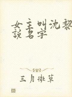 女主叫沈黎的小说名字