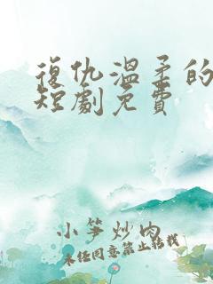 复仇温柔的女秘短剧免费